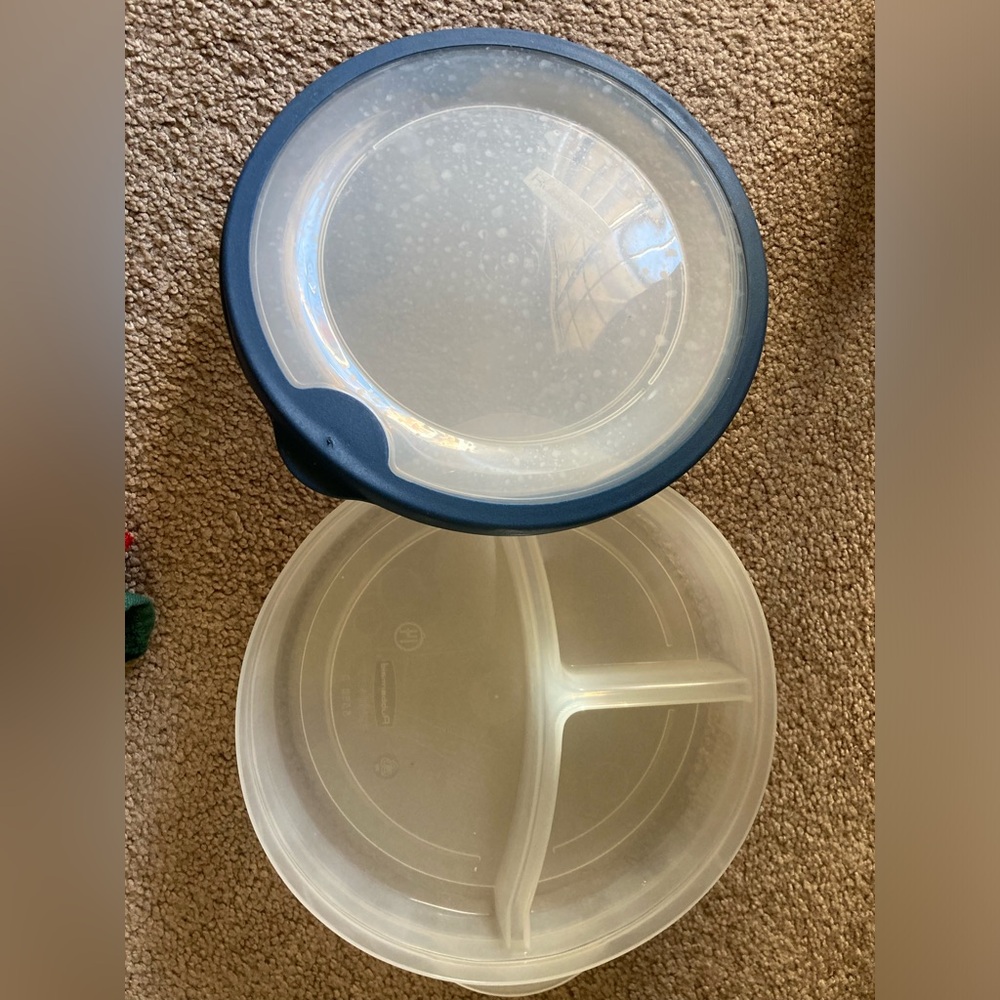 ♥️💚Clear and Blue Divided Food Storage Container